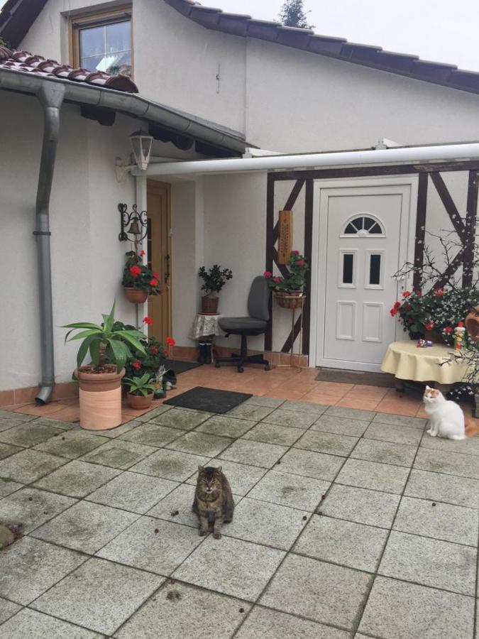Kleines Haus Im Oderbruch Appartement Neutrebbin Buitenkant foto
