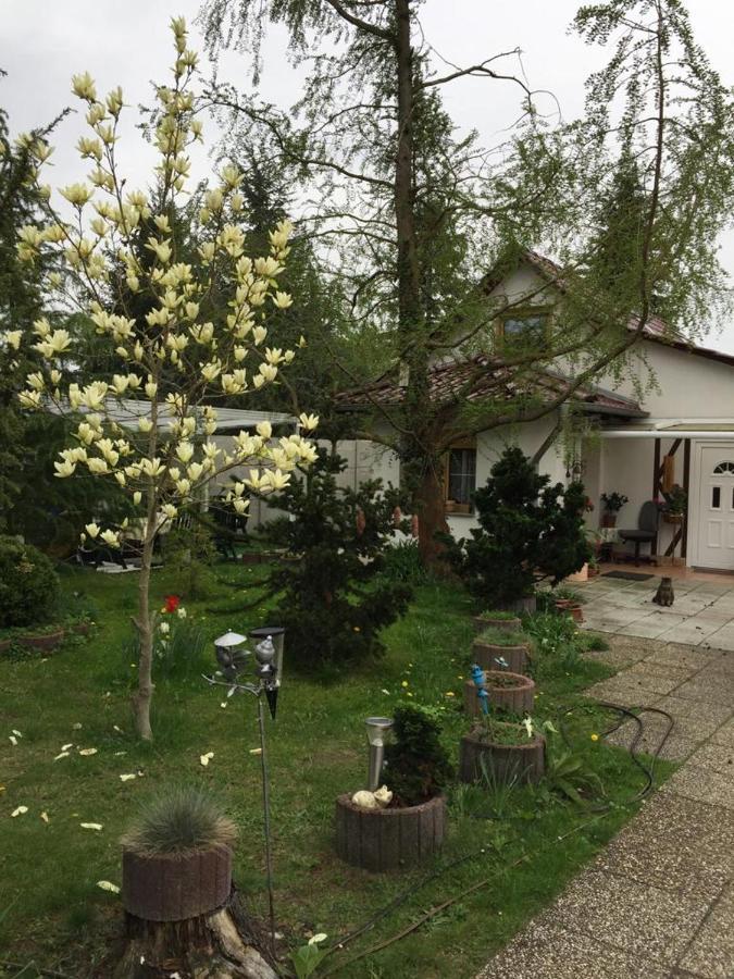 Kleines Haus Im Oderbruch Appartement Neutrebbin Buitenkant foto